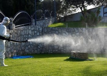 İstanbul'da Böcek ve Haşere Problemleri Neden Artıyor? Sebepler ve Kalıcı Çözümler