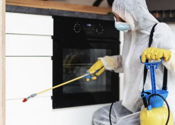 Evde Böcek Görmek Kader Değil – İstanbul’da Etkili Böcek İlaçlama Yöntemleri