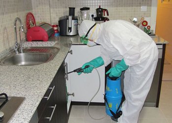 İstanbul'da Profesyonel İlaçlama Hizmetlerinin Önemi ve Ev Sahipleri İçin Hayati Tavsiyeler