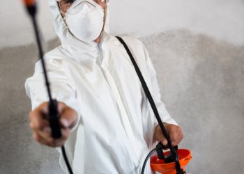 Avcılar Genel İlaçlama Hizmeti