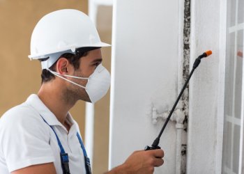 Başakşehir Genel İlaçlama Hizmeti