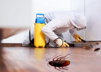 Emirgan Genel İlaçlama Hizmeti