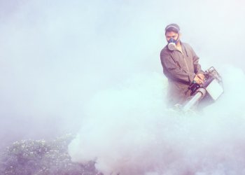 Beşiktaş Genel İlaçlama Hizmeti