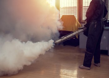 Beylikdüzü Genel İlaçlama Hizmeti